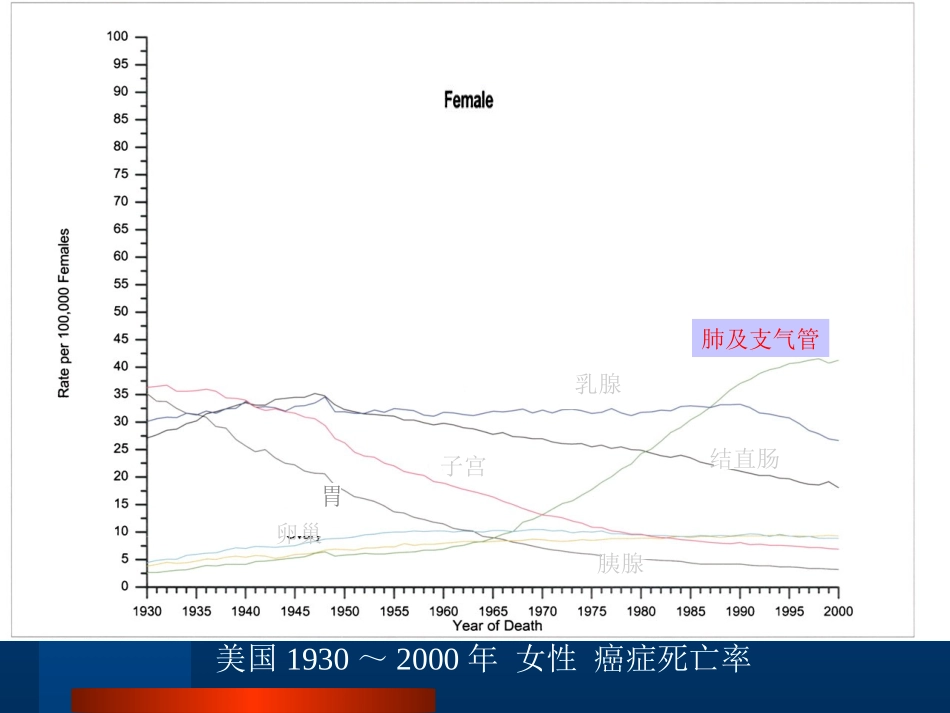 肺癌(本科)2_第3页
