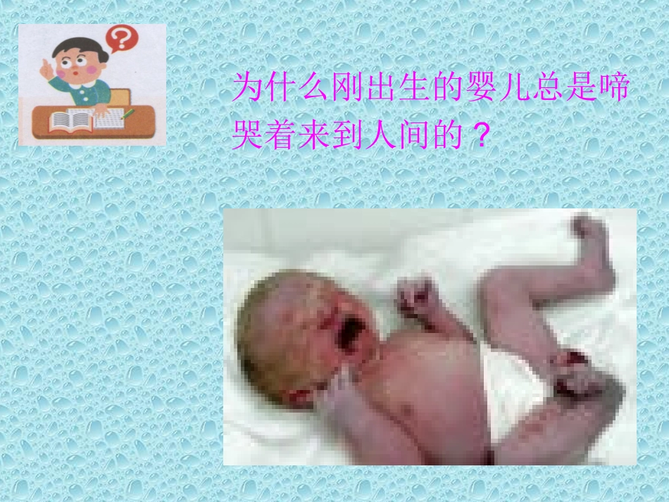 呼吸道对空气处理ppt_第1页