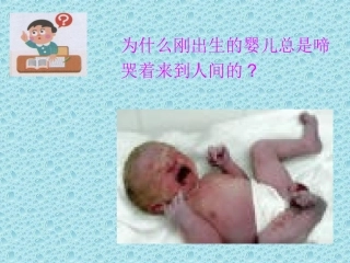 呼吸道对空气处理ppt