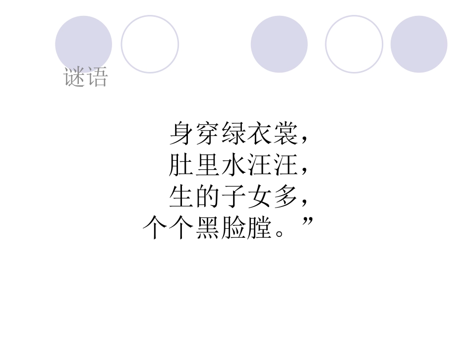 肚子里的西瓜子_第3页