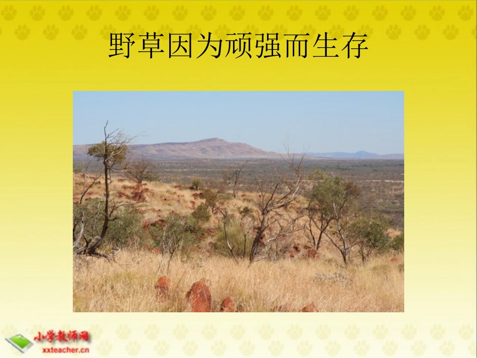 (北师大版)六年级语文下册课件_人生礼赞_2_第2页