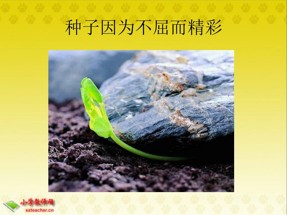 (北师大版)六年级语文下册课件_人生礼赞_2_第3页