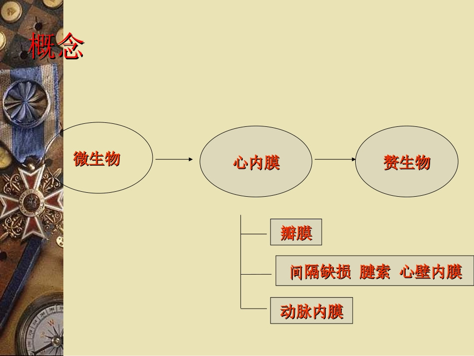 感染性心内膜炎12_第2页