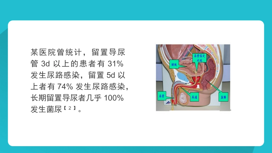 如何减少留置导尿引发的感染_第3页