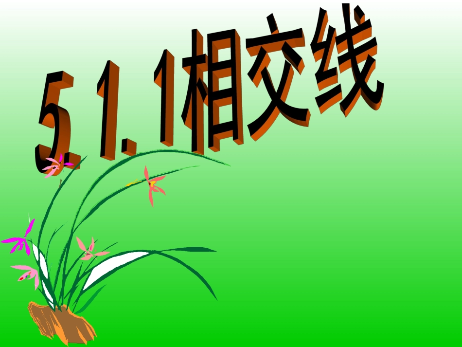 《511相交线》课件_第1页