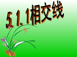 《511相交线》课件