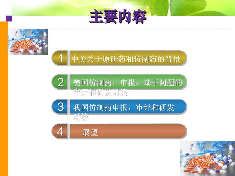 中美仿制药研发申报流程.精讲_第2页