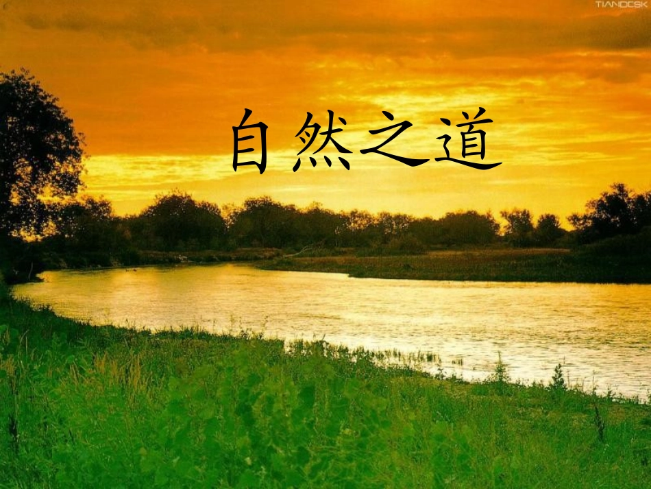 自然之道第一课时_第1页