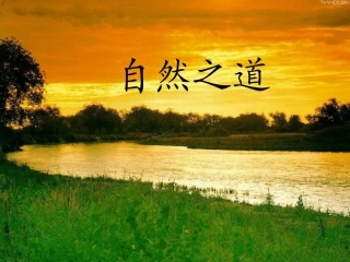 自然之道第一课时