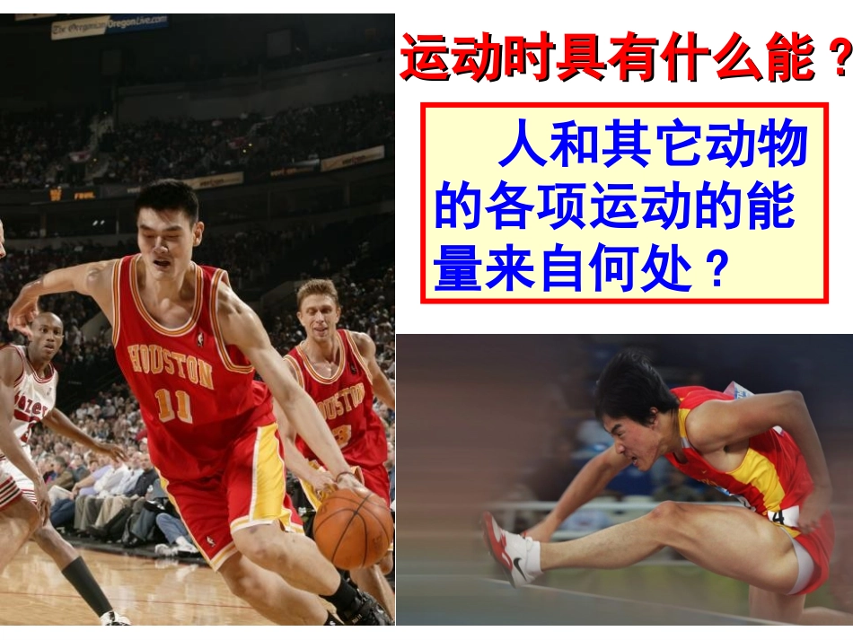 《食物与营养》(上课稿).解读_第3页