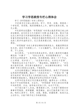 学习学思践悟专栏心得体会