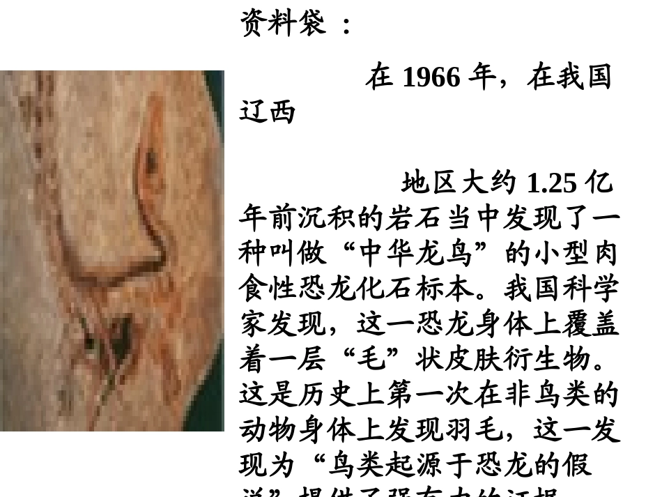 飞向蓝天的恐龙 _第2页