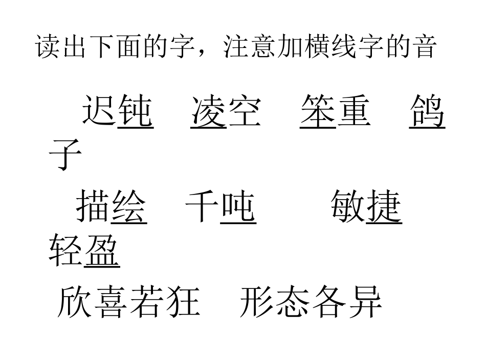 飞向蓝天的恐龙 _第3页