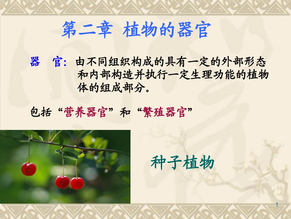 药用植物学与生药学-04根_第1页