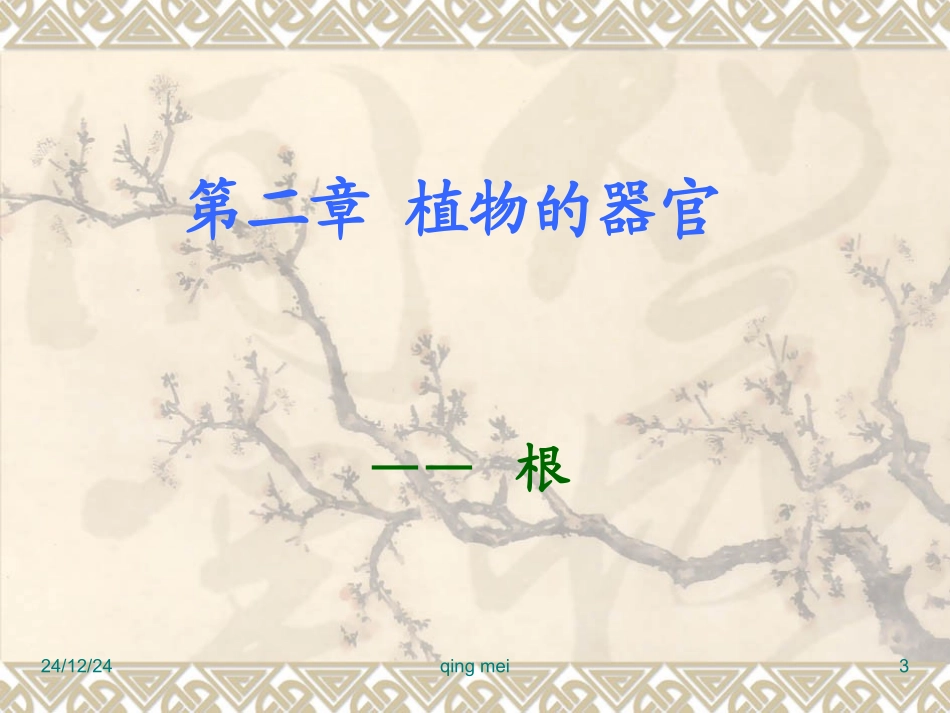药用植物学与生药学-04根_第3页