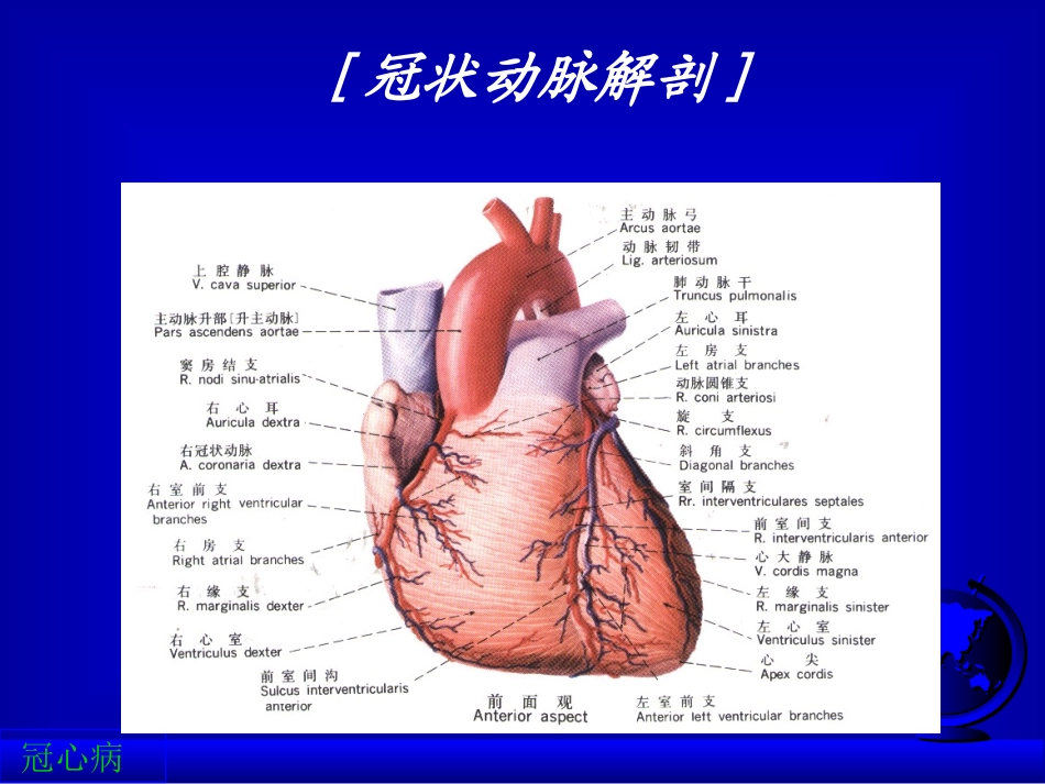 冠心病规范化诊断和治疗_第2页