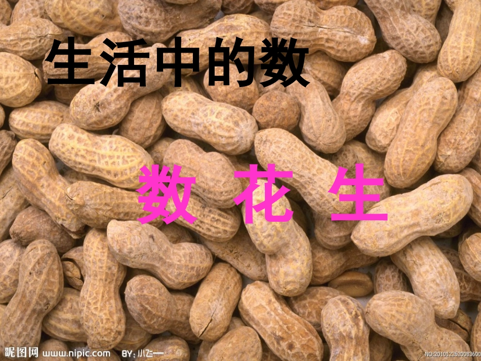 一年级数学《数花生》[1]_第1页
