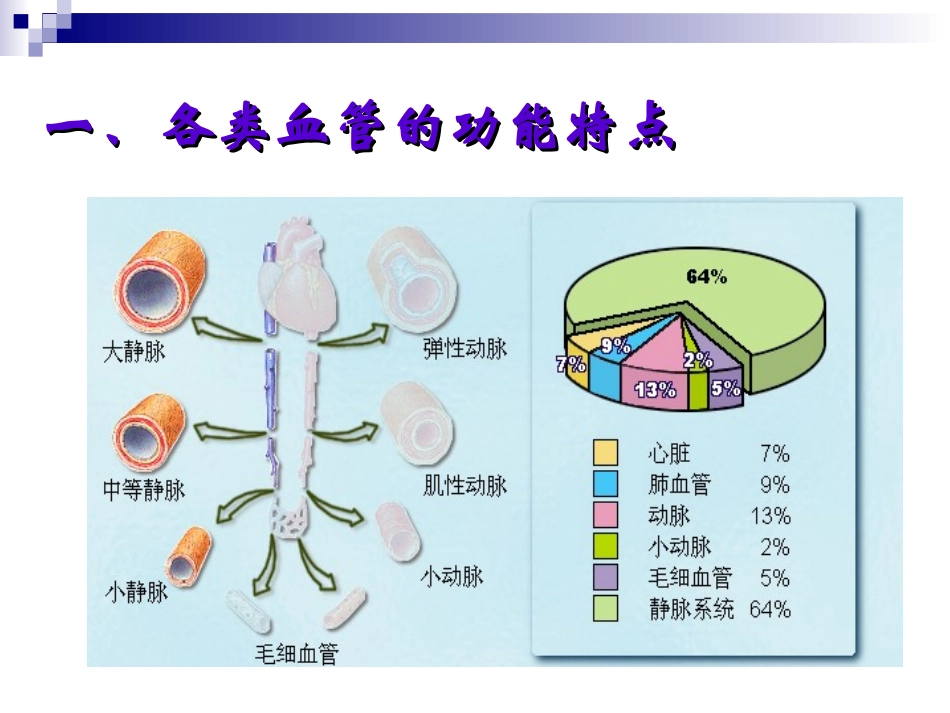 血液循环(3)_第3页