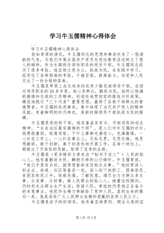学习牛玉儒精神心得体会