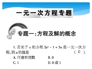 一元一次方程专题