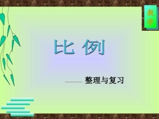 六年级比例的复习和整理(新人教课标版)[1]2