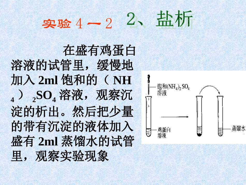 选修（5）432蛋白质和核酸_第2页