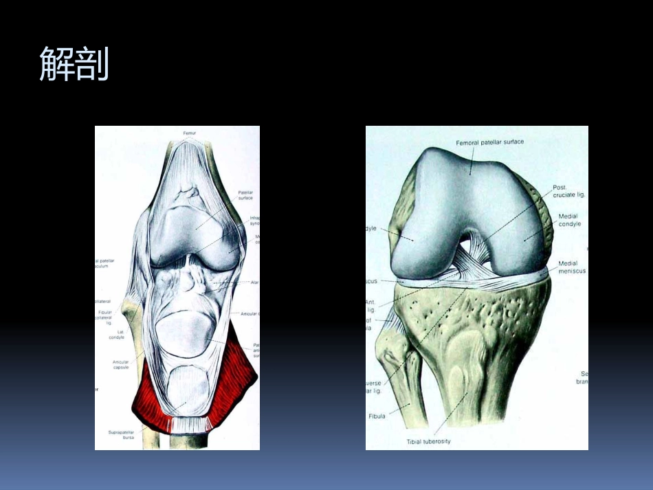 膝关节功能康复_第2页