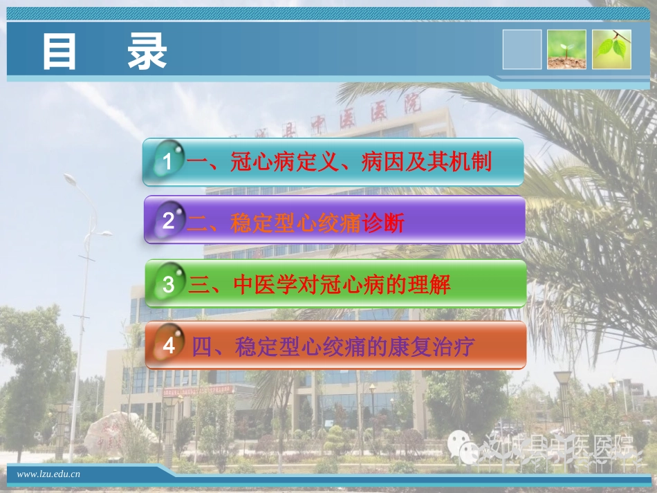 冠心病--稳定型心绞痛_第2页