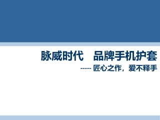 脉威时代手机护套产品目录