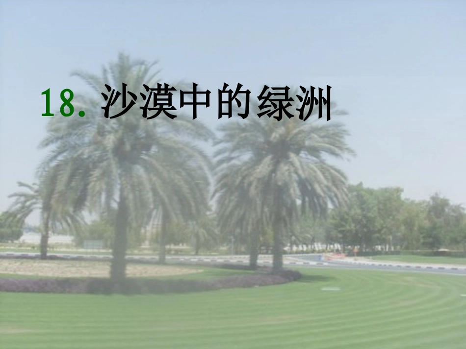 《沙漠中的绿洲》课件_第1页