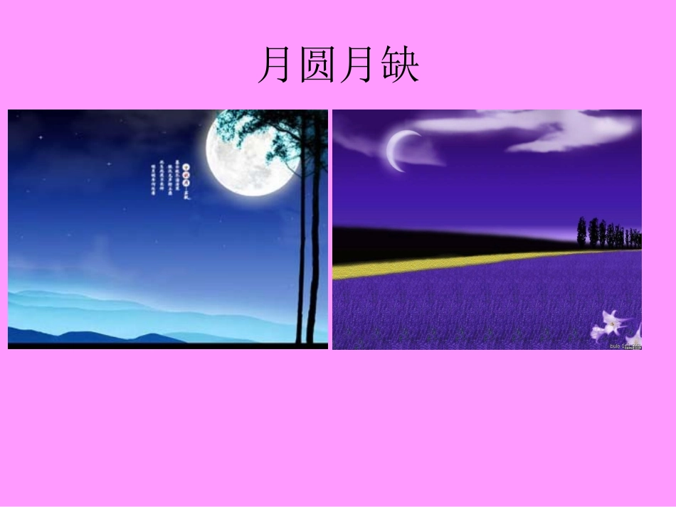 《循环小数》PPT课件_第3页