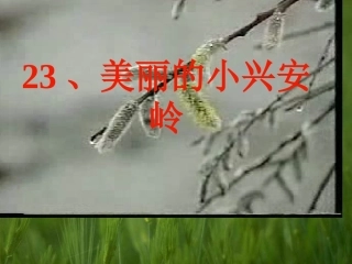 沪江小学资源网_23美丽的小兴安岭课件_2013010834624550_154