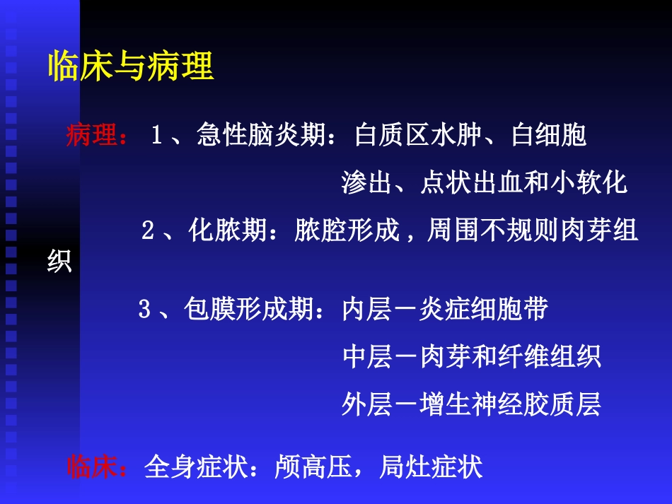 颅内感染疾病_第3页
