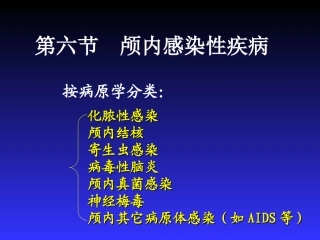 颅内感染疾病