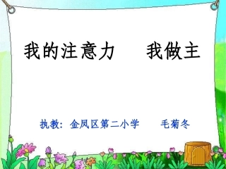 《我的注意力我做主》课件