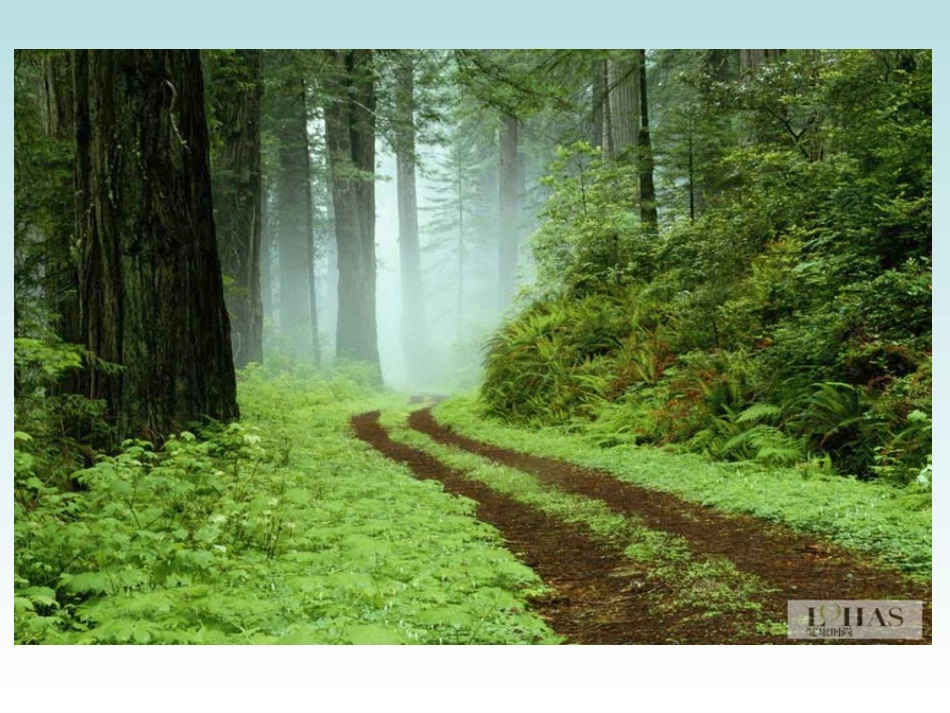 山中访友课件 (2)_第3页