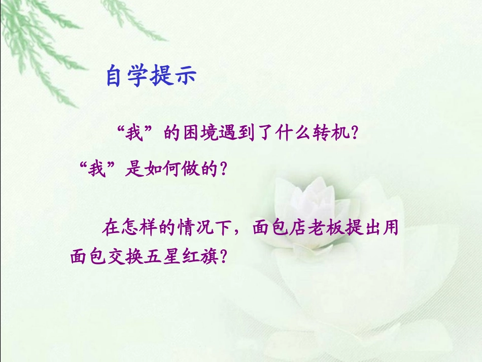 人教新课标三年级语文下册《一面五星红旗》PPT课件_第3页