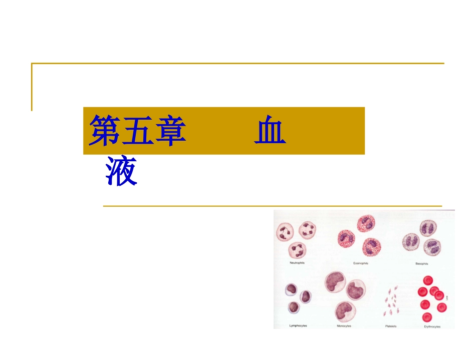 血液(检验)_第1页