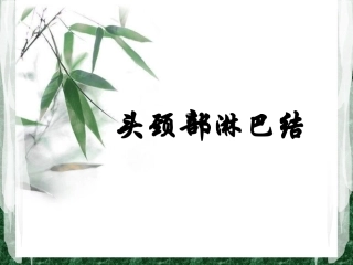 头颈部淋巴结