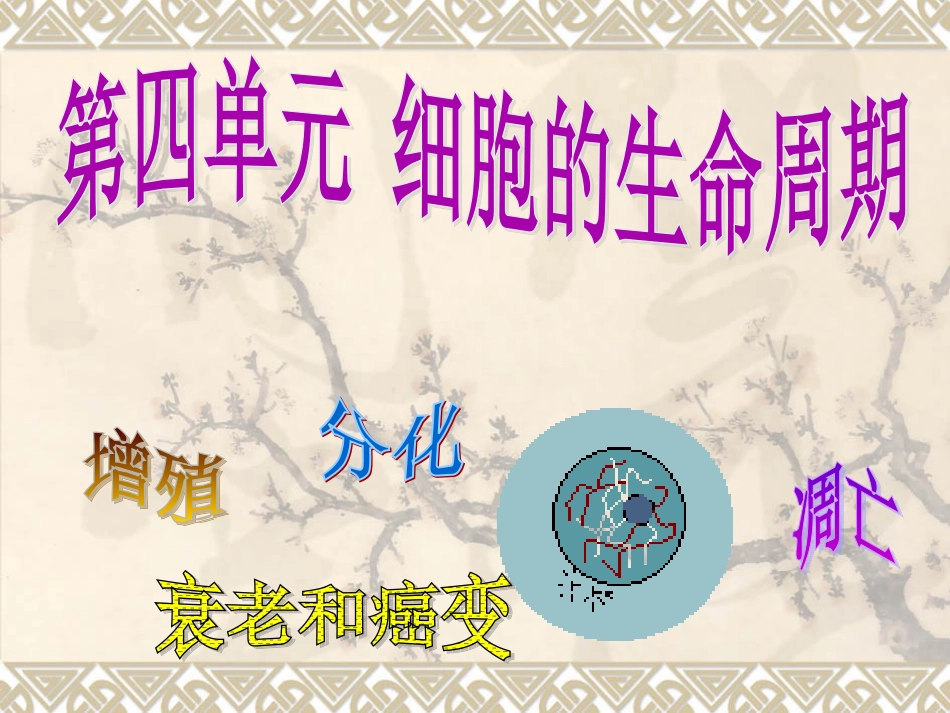 细胞的生命周期.ppt_第1页