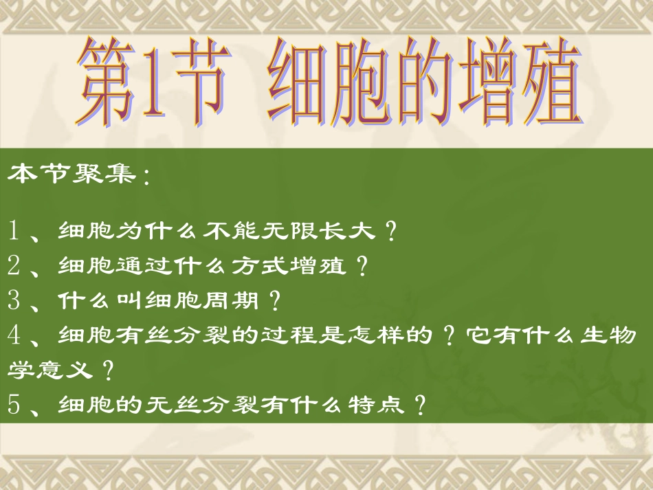 细胞的生命周期.ppt_第2页