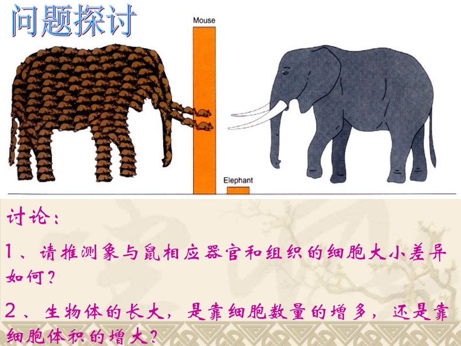 细胞的生命周期.ppt_第3页