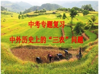 2013年历史中考复习之三农问题