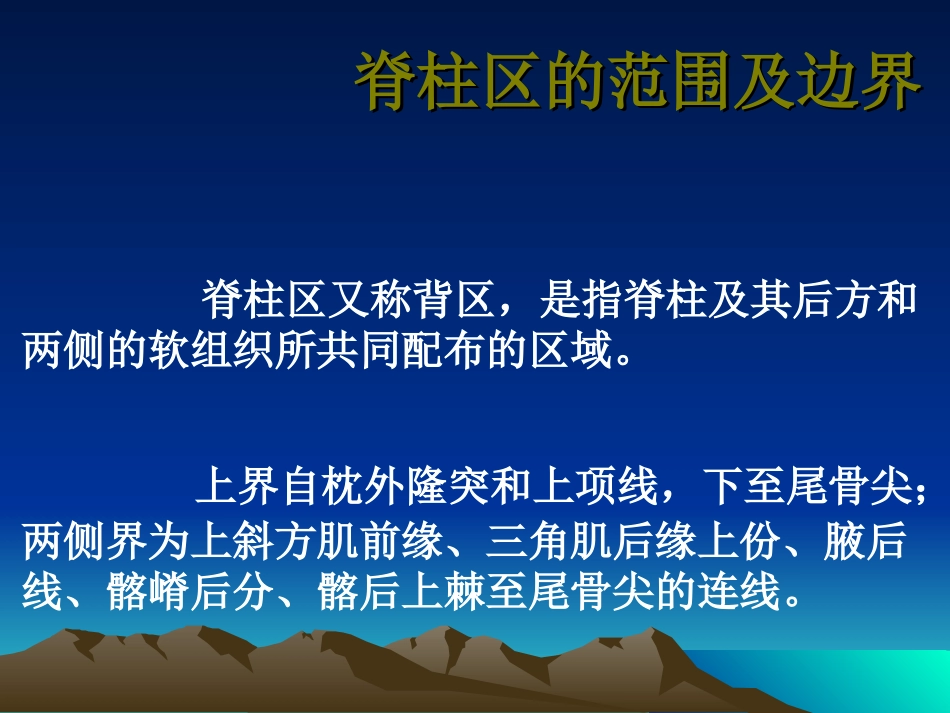 脊柱的应用解剖_第3页