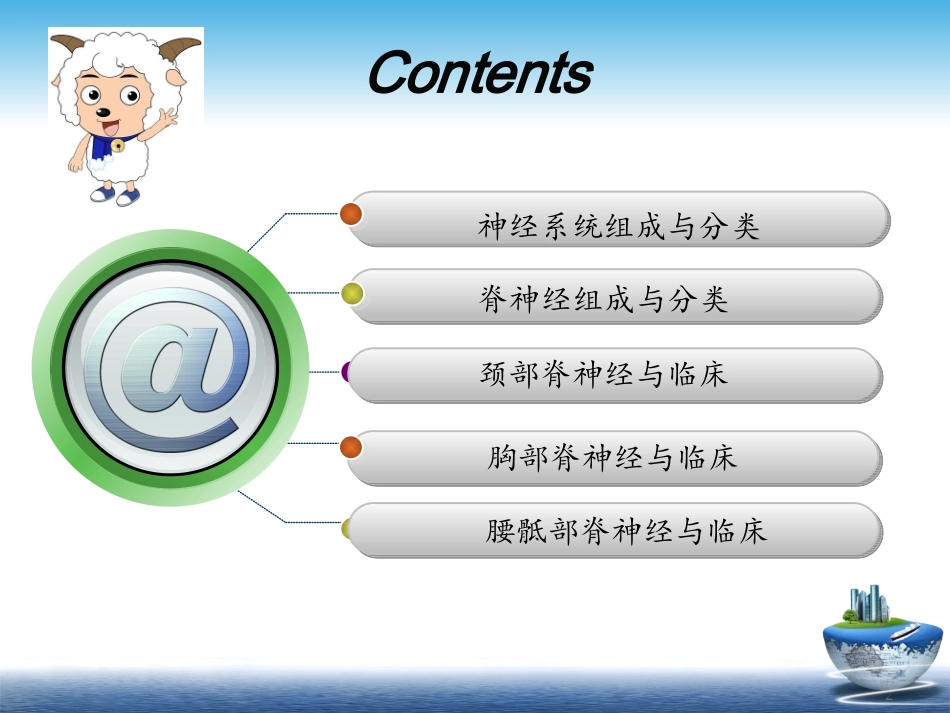 脊神经解剖与临床_第2页