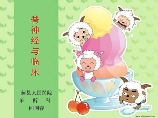 脊神经解剖与临床