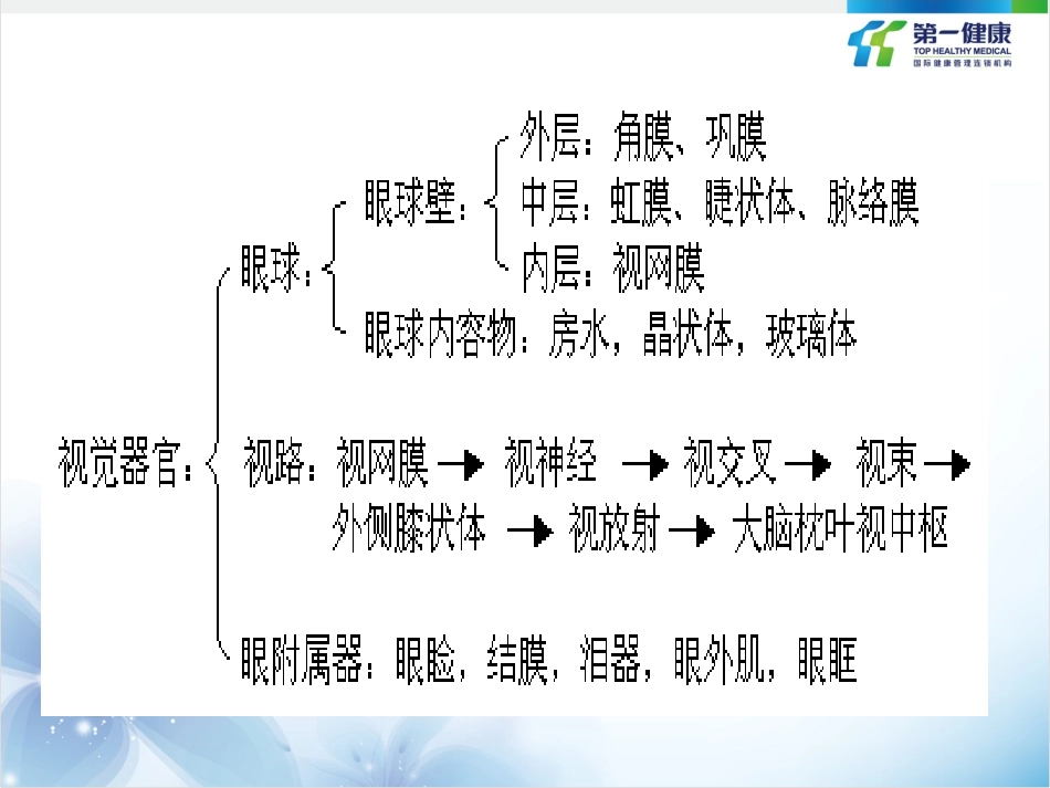 从解剖生化营养学角度认识眼睛和耳朵-营养讲师班课程_第3页