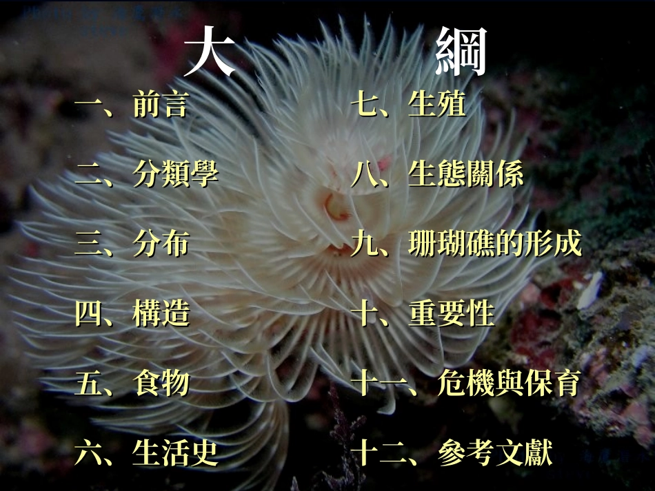 大多数的石珊瑚体内都有一种共生的单细胞藻类_第2页