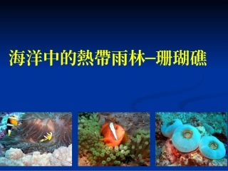 大多数的石珊瑚体内都有一种共生的单细胞藻类