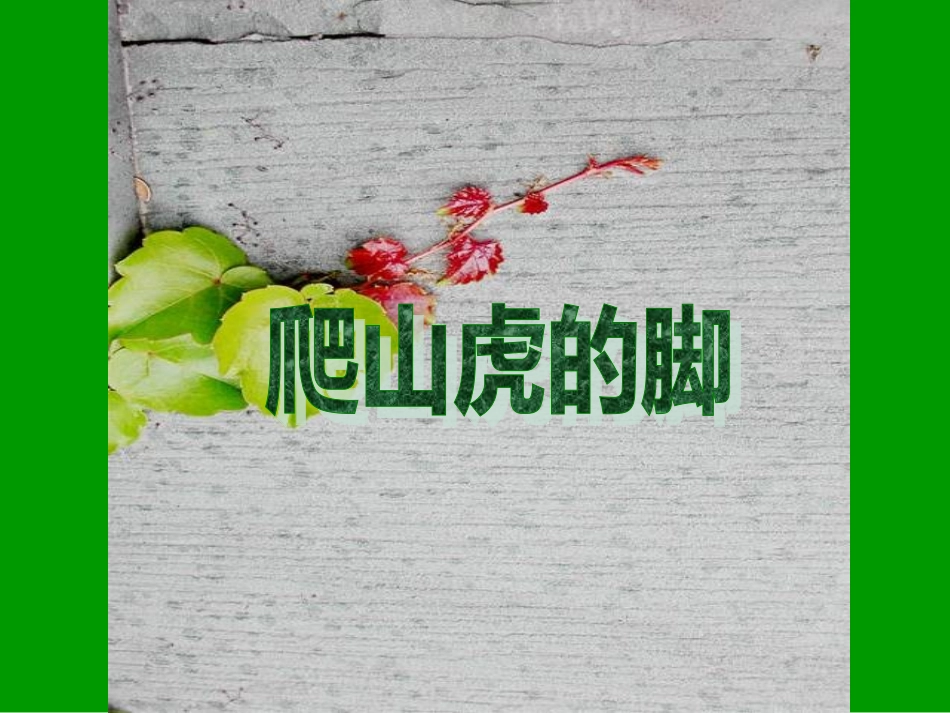 爬山虎的脚改_第1页